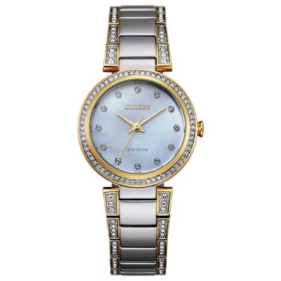 Silhouette Crystal Women’s Watch in Two-Tone Ion-Plated Stainless Steel