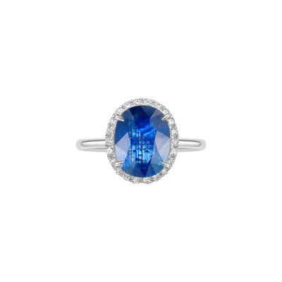 Blue Sapphire & Diamond Halo Ring in 14K White Gold (1/5 ct. tw.)