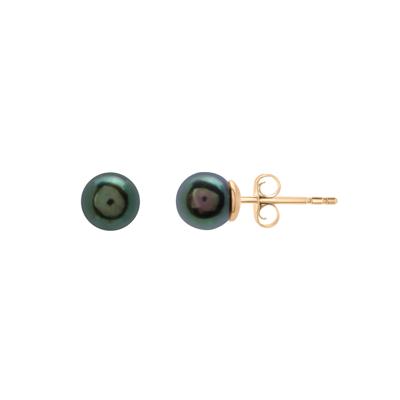 Black Freshwater Cultured Pearl Stud Earrings in 14K Yellow Gold
