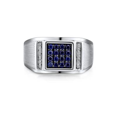 Men’s Blue Sapphire and Diamond Accent Ring in Sterling Silver