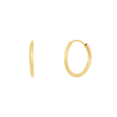 Endless Hoop Earrings in 14K Gold