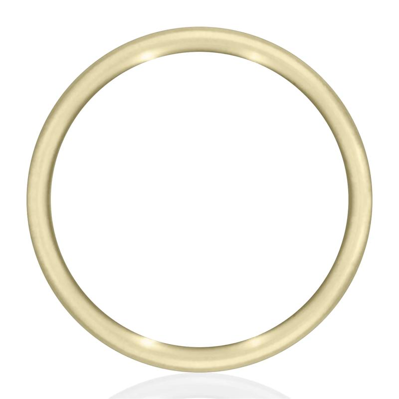 Men&rsquo;s Tantalum Coin Wedding Band in 14K Gold – Image 2 of 3