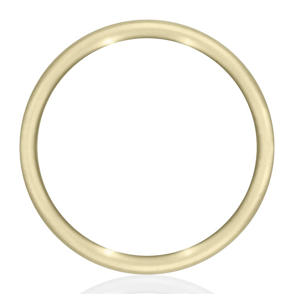 Men&rsquo;s Tantalum Coin Wedding Band in 14K Gold – Image 2 of 3