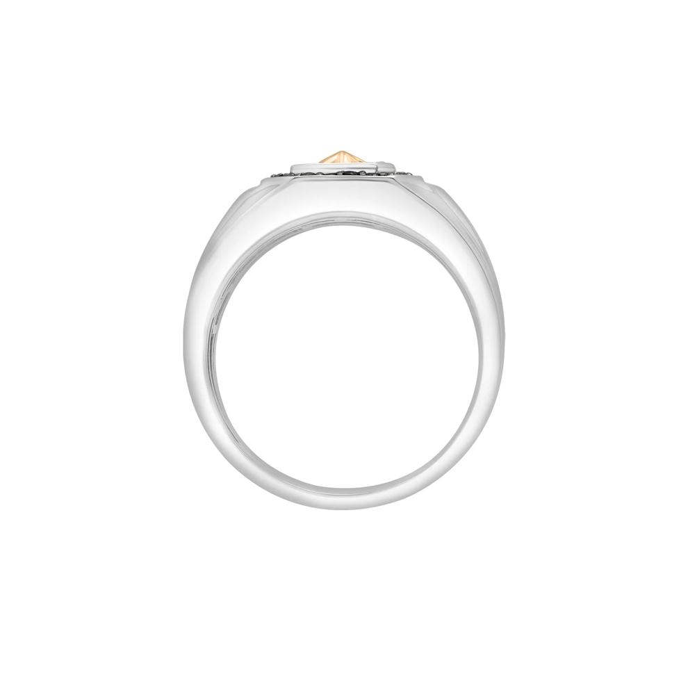 Men's Black and White Diamond Starburst Ring in Sterling Silver and 10K Yellow Gold (1/3 ct. tw.) – Image 2 of 5