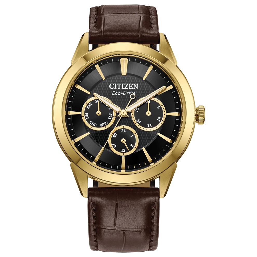 Men's Rolan Watch in Brown Leather and Gold-Tone Stainless Steel, 40MM – Image 1 of 4