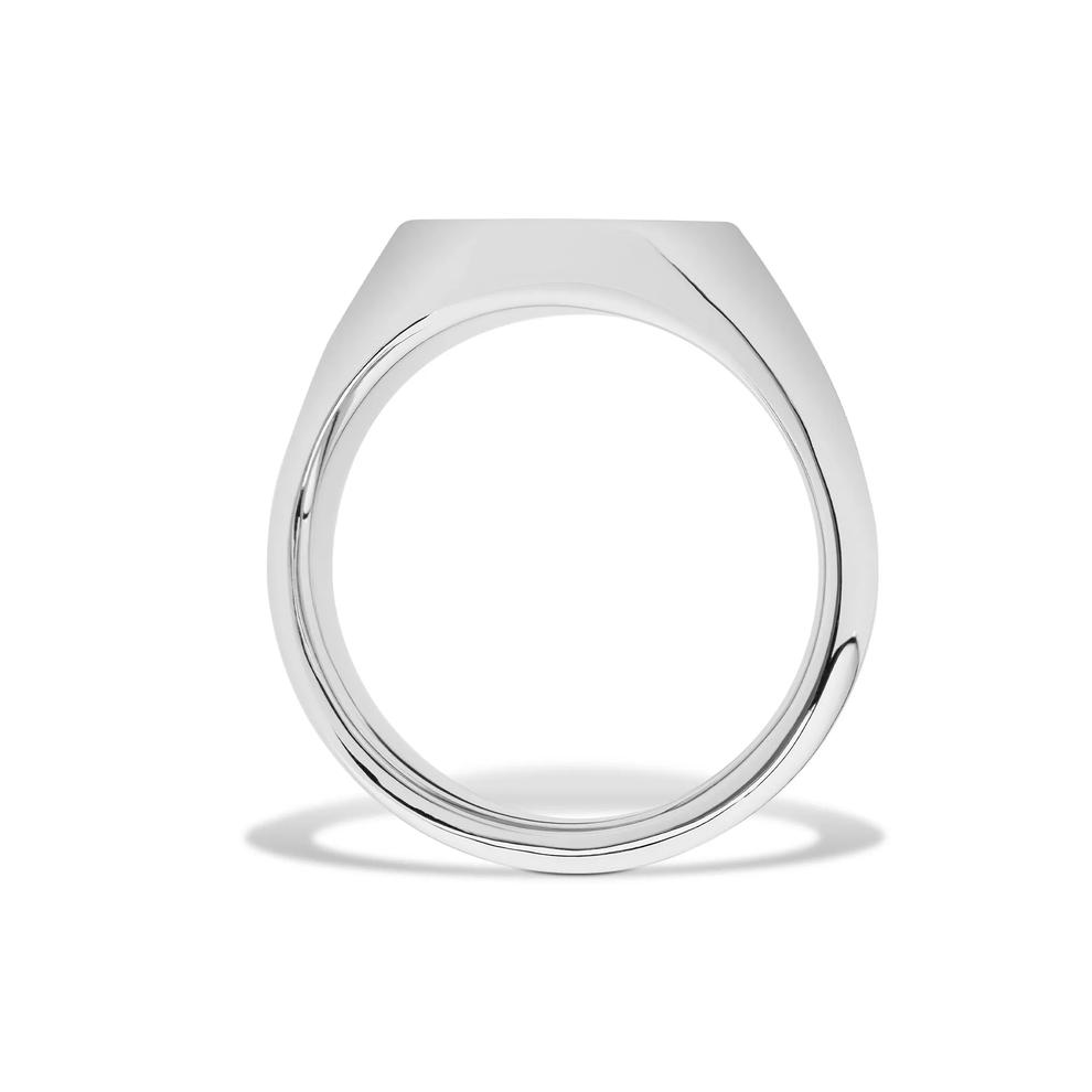 Men's Fleur De Lis Oval Signet Ring in Cobalt Chrome – Image 2 of 4