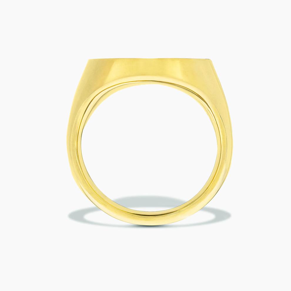 Men's Desert Iron Wood Inlay Signet Ring in 10K Yellow Gold – Image 2 of 4