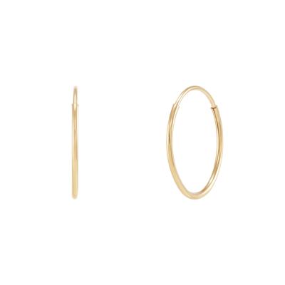 Endless Hoop Earrings in 14K Gold
