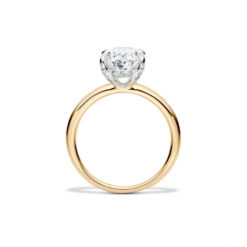 Bennett Lab Grown Diamond Engagement Ring in 14K Yellow Gold &#40;3 1/5 ct. tw.&#41;  – Image 2 of 5