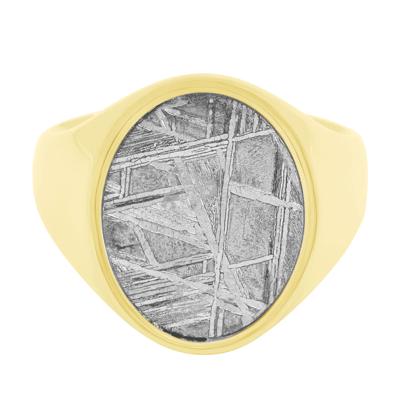 Oval Meteorite Inlay Signet Ring in 14K Yellow Gold