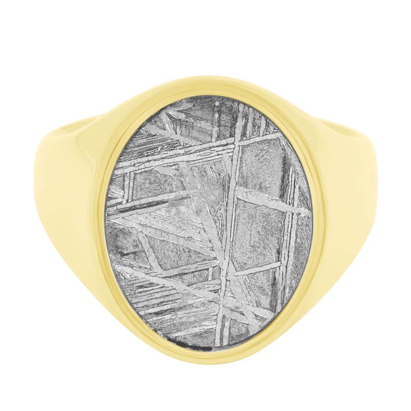 Oval Meteorite Inlay Signet Ring in 14K Yellow Gold – Image 1 of 3