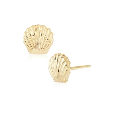 Puffed Seashell Stud Earrings in 14K Yellow Gold
