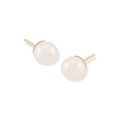 Freshwater Cultured Pearl Stud Earrings in 14K Yellow Gold, 5-5.5MM