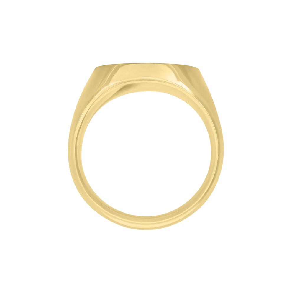 Oval Meteorite Inlay Signet Ring in 14K Yellow Gold – Image 2 of 3