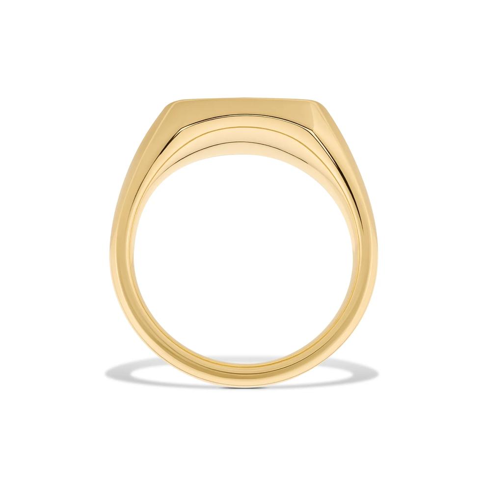 Men's Thin-Style Band with Desert Iron Wood Inlay Signet Ring in 10K Yellow Gold – Image 2 of 4