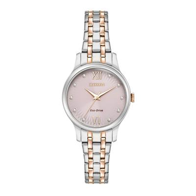 Ladies' Watch in Two-Tone Stainless Steel